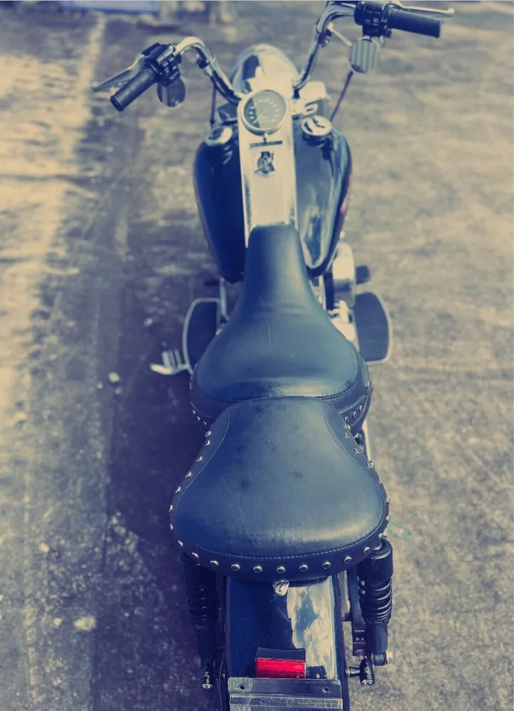 Harley-Davidson FLHR Road King из Японии, фото 2