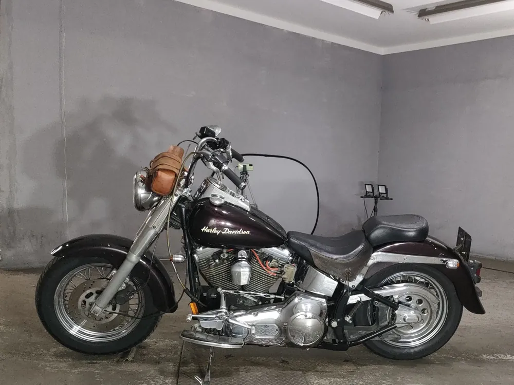 Harley_davidson FLSTC из Японии, фото 2