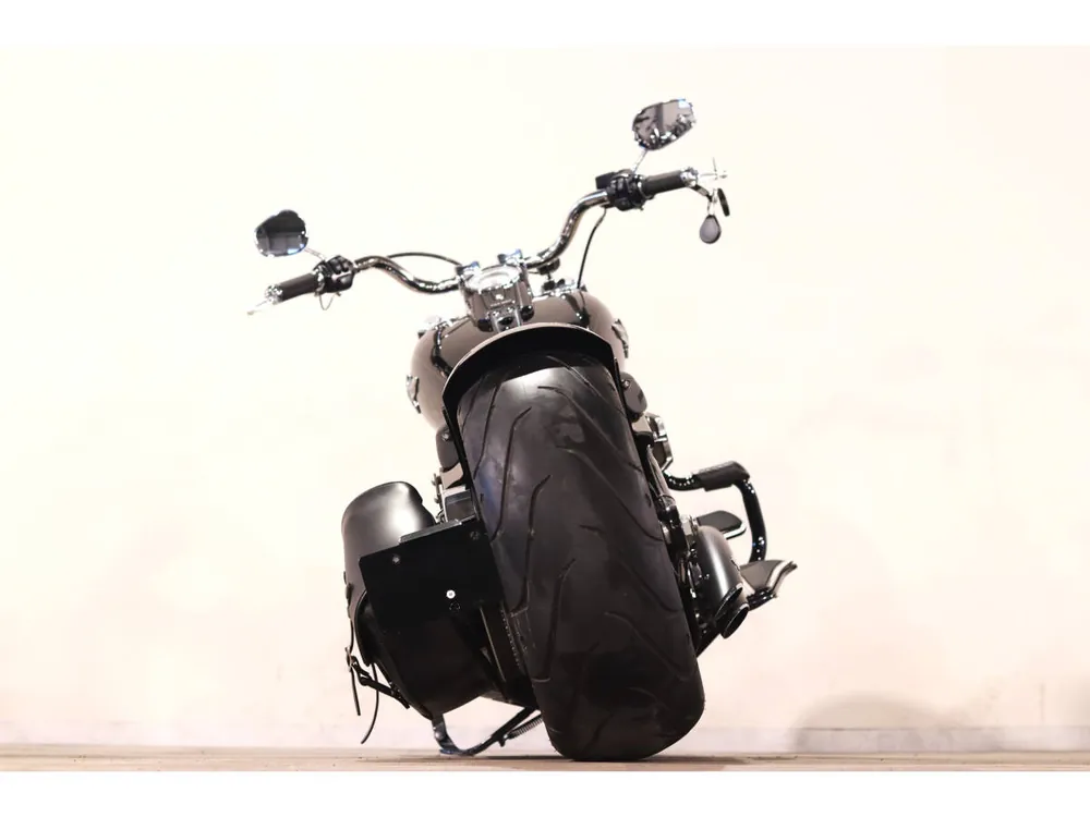 Harley_davidson FLSB из Японии, фото 8