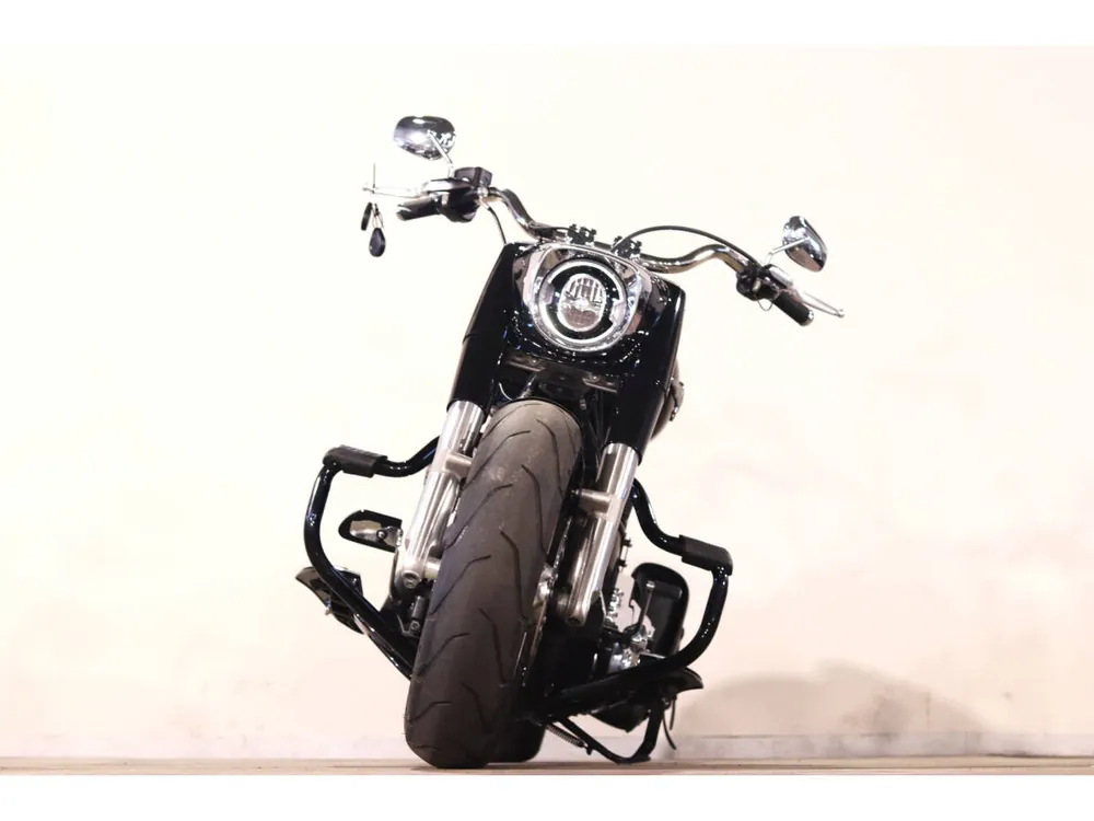 Harley_davidson FLSB из Японии, фото 9