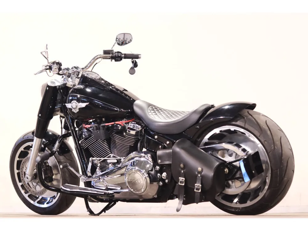 Harley_davidson FLSB из Японии, фото 3