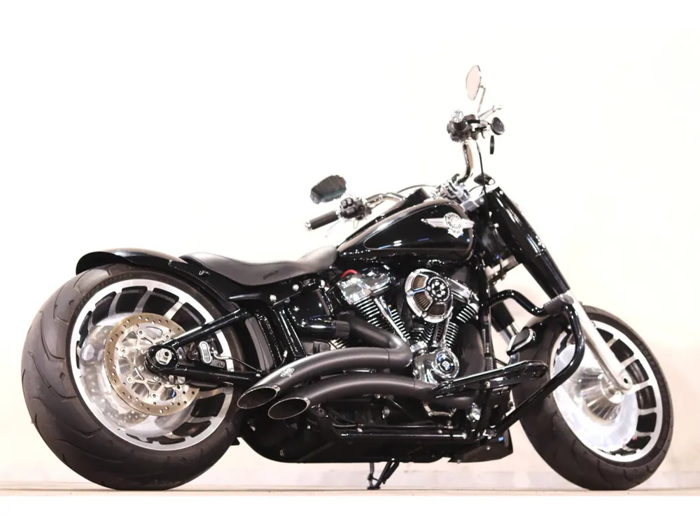 Harley_davidson FLSB из Японии, фото 4