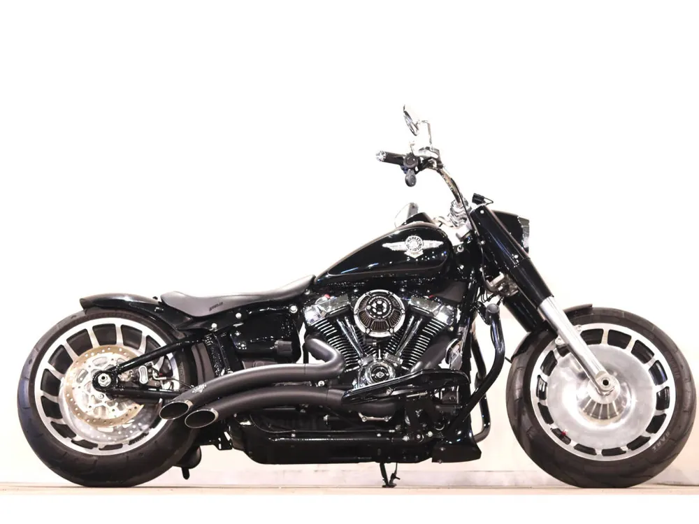 Harley_davidson FLSB из Японии, фото 6