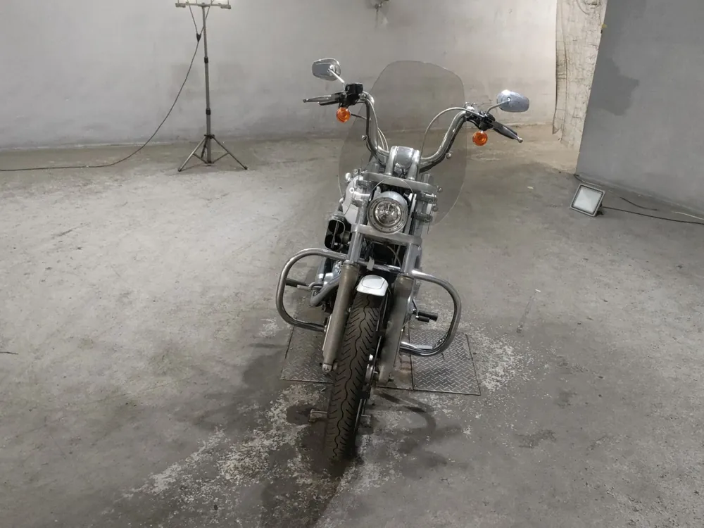 Harley_davidson FXDL Dyna Low Rider из Японии, фото 3