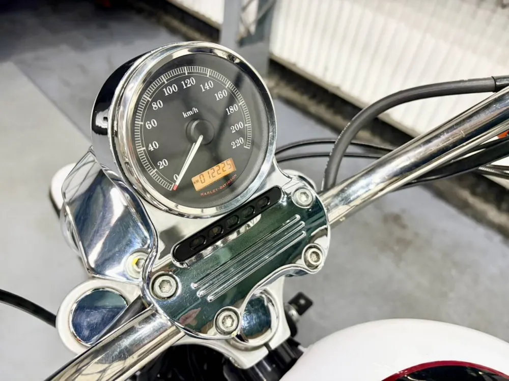 Harley_davidson XL1200L из Японии, фото 10