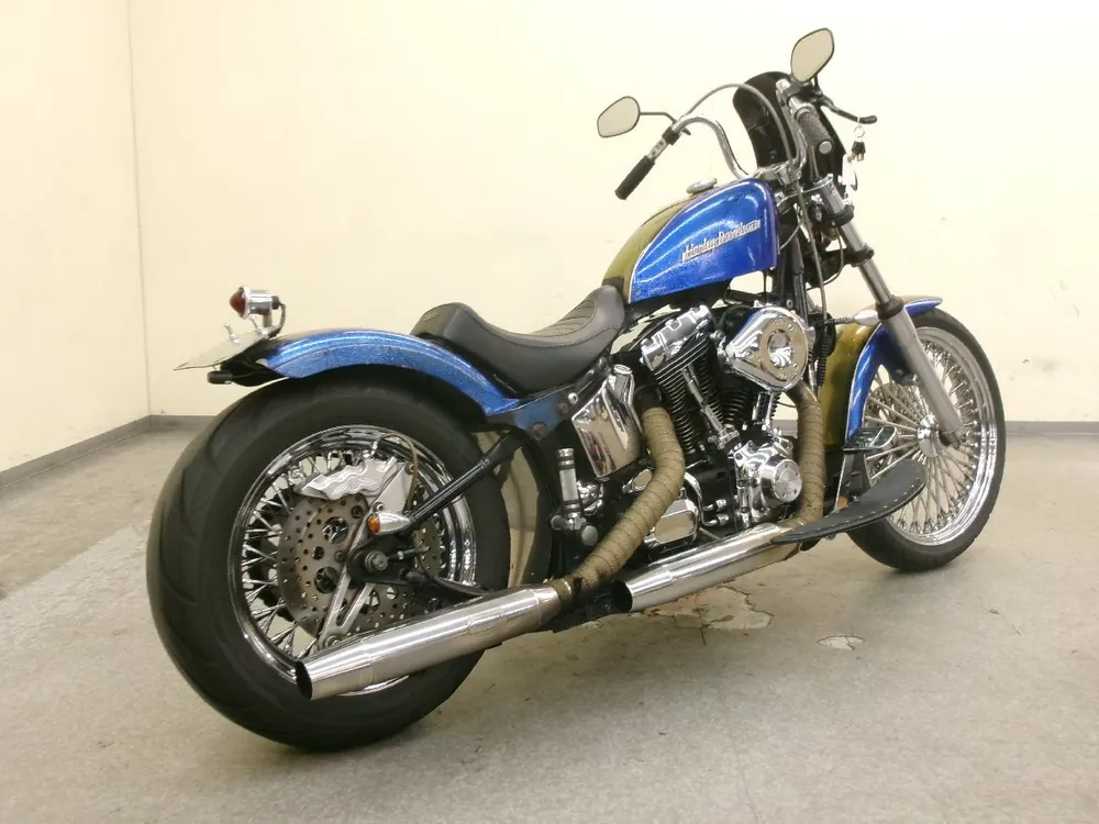 Harley_davidson Heritage Softail Classic FLSTC1450 из Японии, фото 3