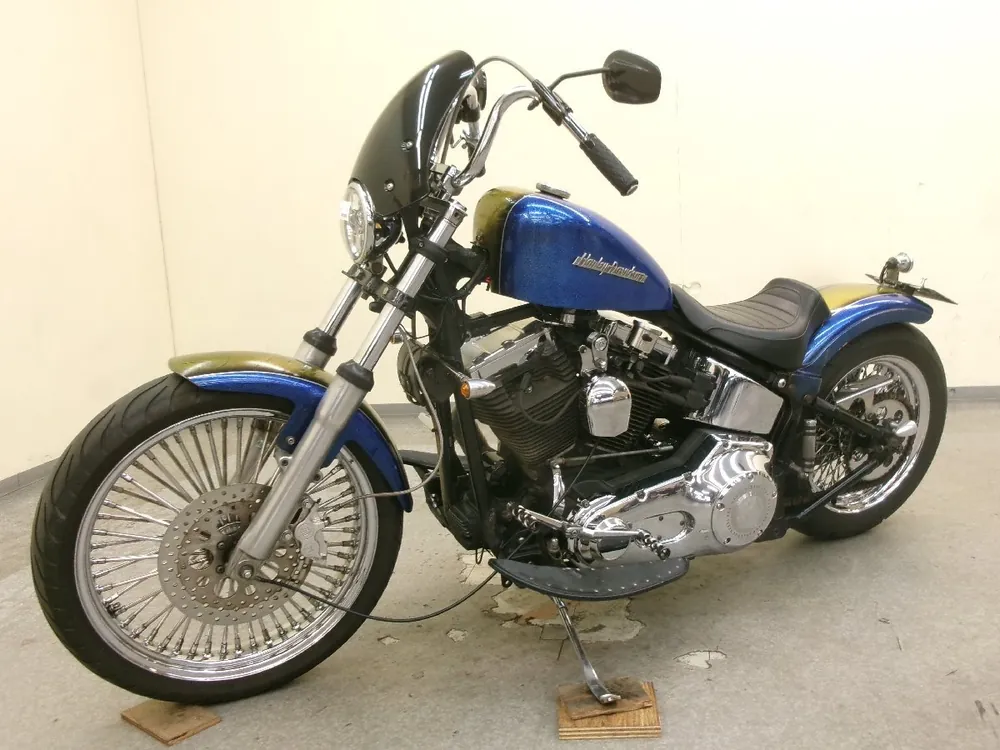 Harley_davidson Heritage Softail Classic FLSTC1450 из Японии, фото 4