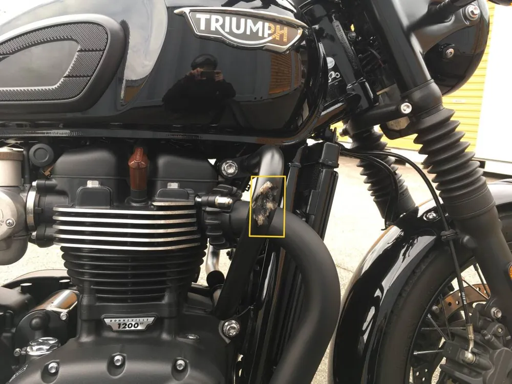 Triumph Bonneville T120 из Японии, фото 8