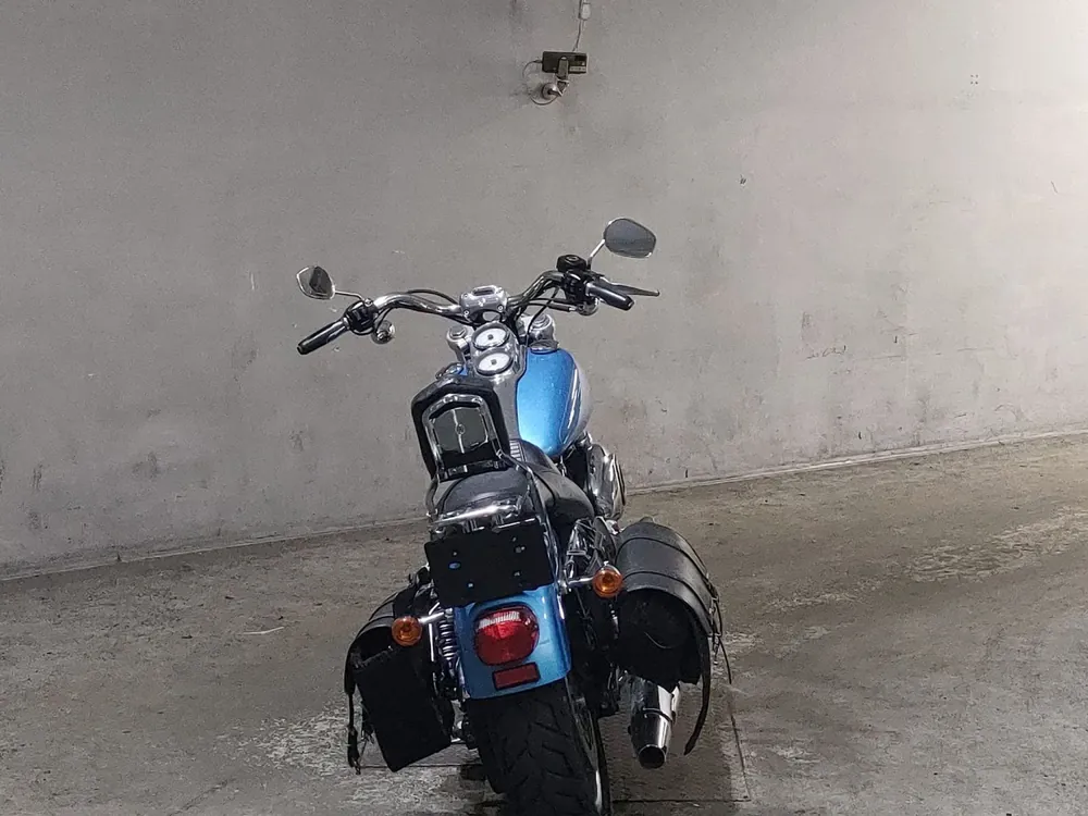 Harley_davidson FXDL Dyna Low Rider из Японии, фото 4