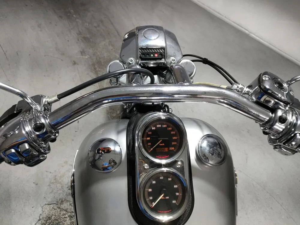 Harley_davidson FXDL Dyna Low Rider из Японии, фото 5
