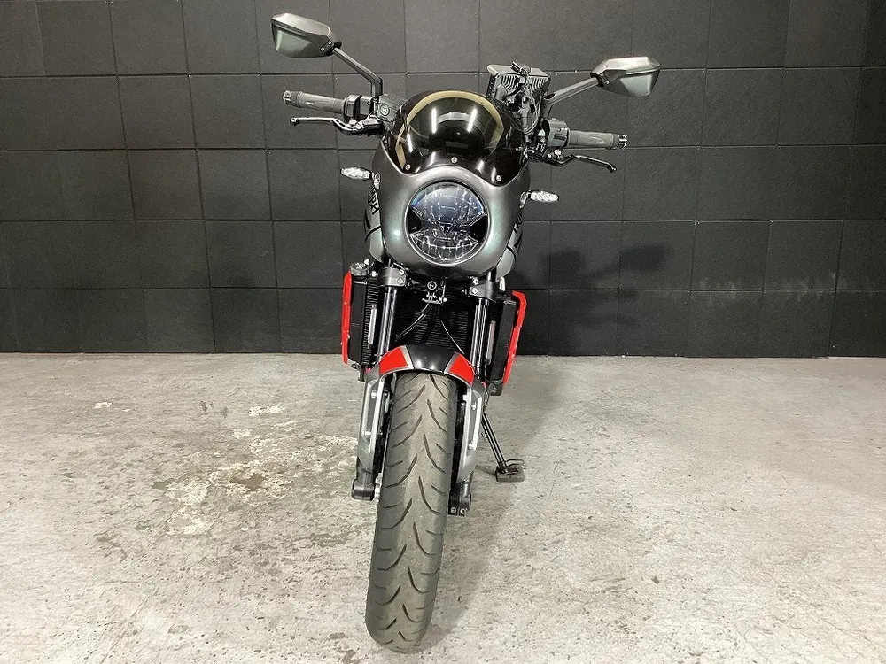 Triumph Trident 660 из Японии, фото 8