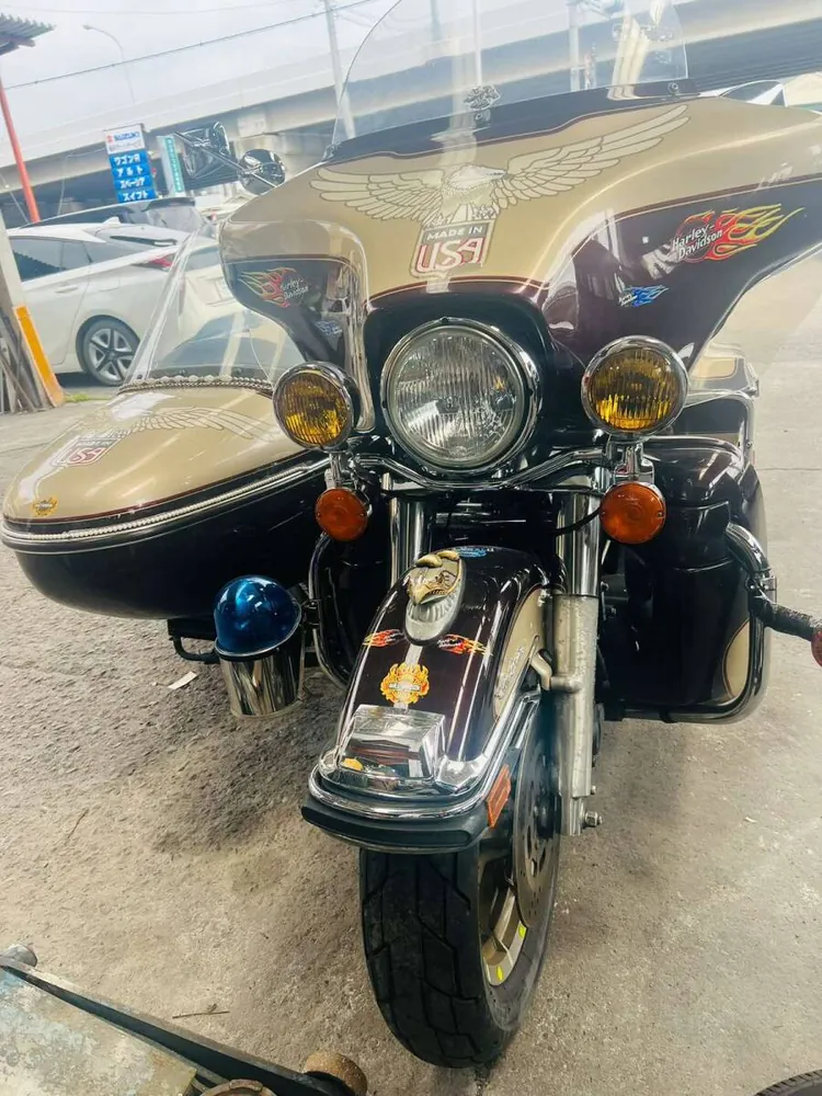 Harley_davidson Electra Glide 95th Anniversary Edition из Японии, фото 3