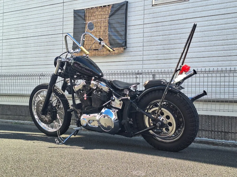 Harley_davidson FLSTN Heritage Softail Special из Японии, фото 2