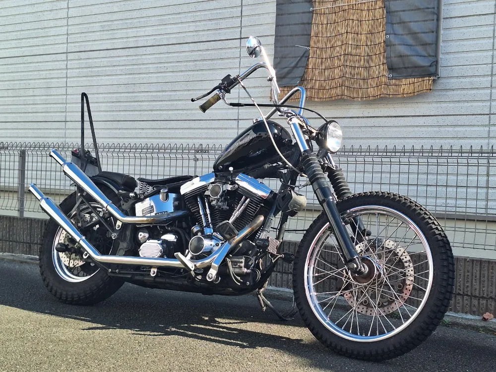 Harley_davidson FLSTN Heritage Softail Special из Японии, фото 3