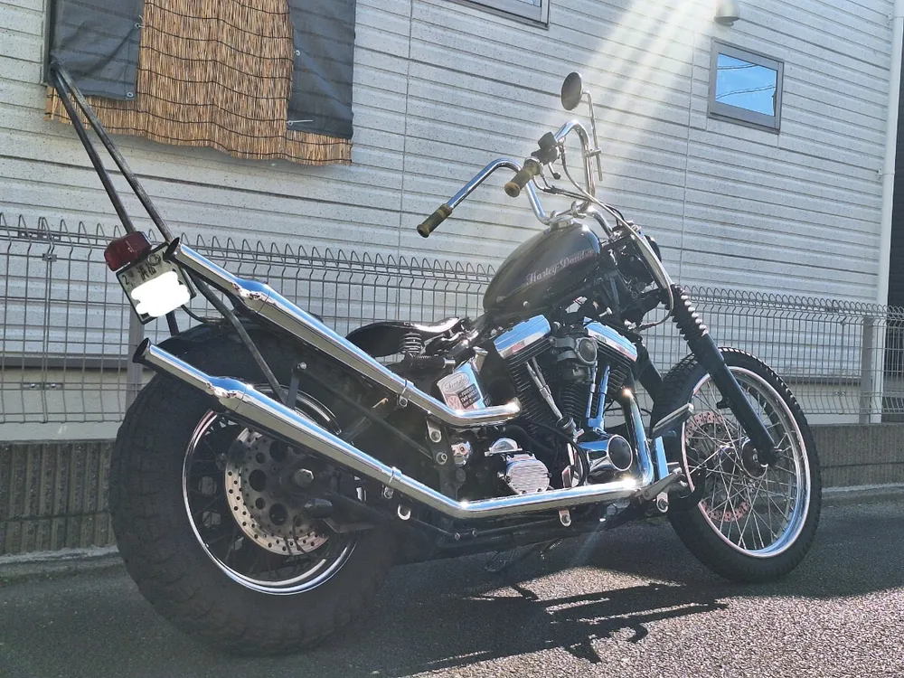 Harley_davidson FLSTN Heritage Softail Special из Японии, фото 4