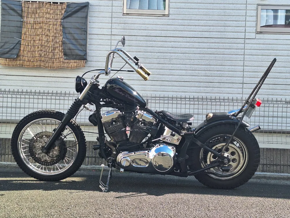 Harley_davidson FLSTN Heritage Softail Special из Японии, фото 5