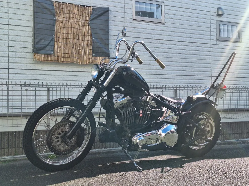 Harley_davidson FLSTN Heritage Softail Special из Японии, фото 6