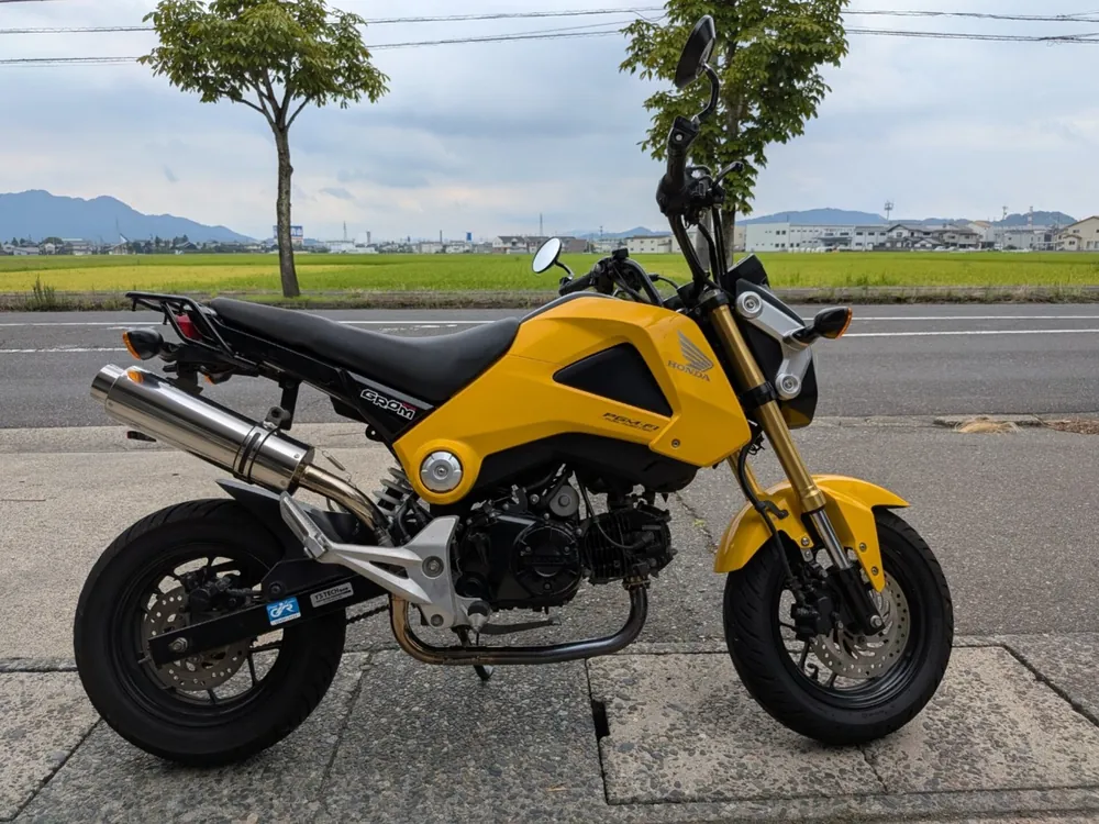 Honda Grom из Японии, фото 2