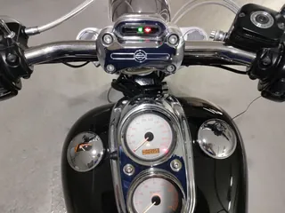 Harley-Davidson FXDL Dyna Low Rider из Японии, фото 5