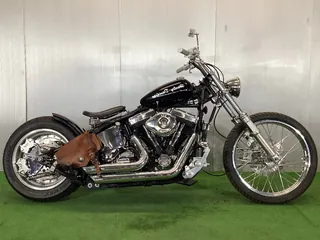 Harley_davidson Softail Custom из Японии, фото 1