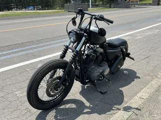 Harley_davidson XL1200N Sportster из Японии, фото 6